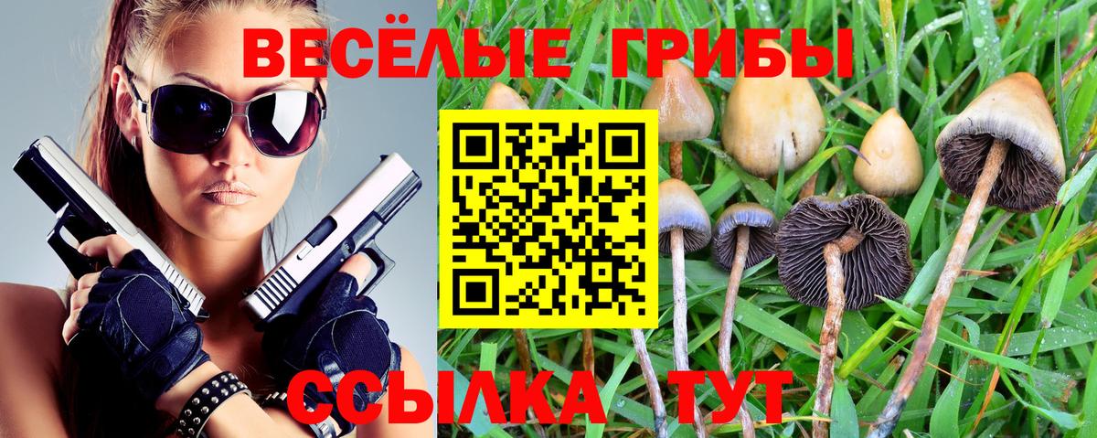 что такое   Вход с VPN  Кимры  Галлюциногенные грибы MAGIC MUSHROOMS 