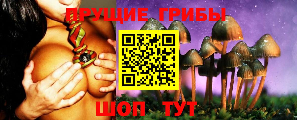 Псилоцибиновые грибы Magic Shrooms Кимры
