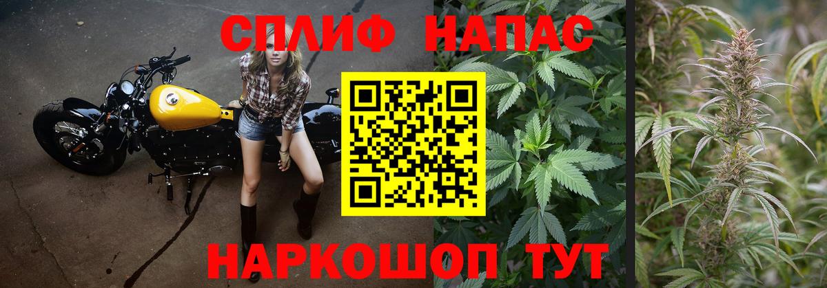 Бошки Шишки сатива  Вход с VPN  Конопля Ganja  Кимры  Канабис AK-47 